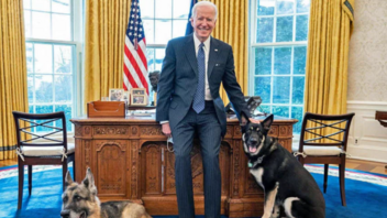 Ο σκύλος του προέδρου Μπάιντεν... δαγκώνει