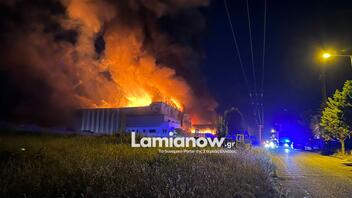 Μεγάλη φωτιά σε εργοστάσιο στη Βιομηχανική Περιοχή της Λαμίας