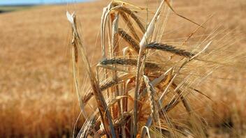 Τουρκία: Τετραμερής συνάντηση την επόμενη εβδομάδα για τις εξαγωγές σιτηρών από την Ουκρανία