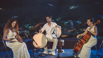Κέλυ Θωμά Trio "Στο Βυθό" στο κανάλι πολιτισμού του Δήμου Ηρακλείου!