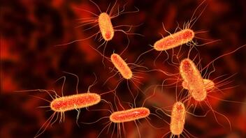 Πόσοι άνθρωποι πεθαίνουν εξαιτίας λοιμώξεων από ανθεκτικά μικρόβια