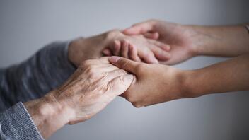 Ερευνητές του ΙΤΕ ρίχνουν φως στον μηχανισμό ρύθμισης της γήρανσης