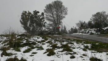 Διεκόπη λόγω της χιονόπτωσης η κυκλοφορία στην επαρχιακή οδό Μαλακάσας-Ωρωπού