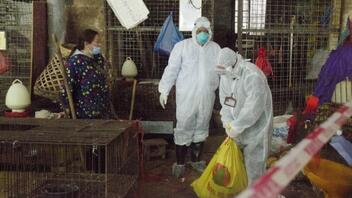 Πρώτο κρούσμα γρίπης των πτηνών H3N8 σε άνθρωπο