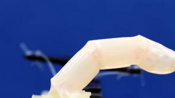Ζωντανό ανθρώπινο δέρμα για ρομπότ δημιούργησαν Ιάπωνες ερευνητές