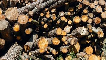 Μεγαλύτερη η ζήτηση φέτος για τα ξύλα παρά τις προειδοποιήσεις των επιστημόνων
