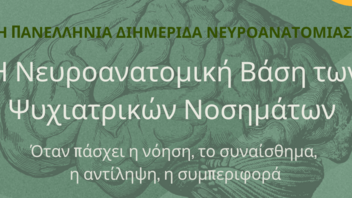 Στην Ιατρική Σχολή του Πανεπιστημίου Κρήτης η 3η Πανελλήνια Διημερίδα Νευροανατομίας 