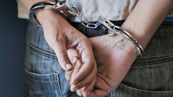 Σύλληψη για εμπρησμό στην Κυδωνίτσα Μεσσηνίας