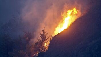 Σε κατάσταση εκτάκτου ανάγκης η Αλμπέρτα λόγω των δασικών πυρκαγιών