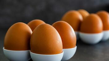 Επιστήμονες δημιούργησαν αυγά που δεν προκαλούν αλλεργία