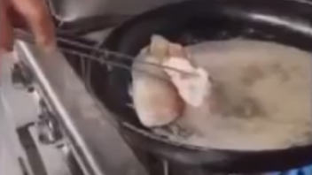 Κάρπαθος: Τι απαντά η ταβέρνα που τηγάνιζε τα ψάρια ζωντανά
