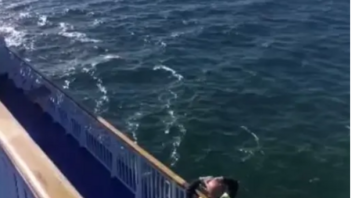 Τραγωδία στη Βαλτική με 7χρονο που έπεσε από πλοίο - Νεκρή και η μητέρα που προσπάθησε να τον σώσει