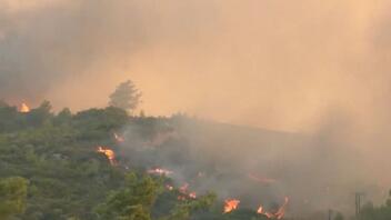  Φωτιά στη Ρόδο: Εκκενώνονται Γεννάδι και Βάτι - Κάηκαν σπίτια στο χωριό Ασκληπιείο