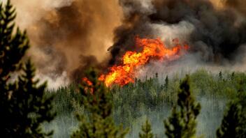 Υπό μερικό έλεγχο η πυρκαγιά στα Άνω Δολιανά Αρκαδίας
