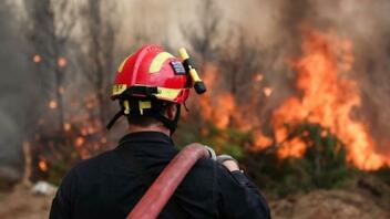 Αγιο Ορος: Φωτιά σε δασική έκταση στην περιοχή Κερασιά