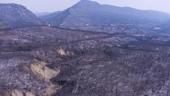 Έβρος: Η μεγαλύτερη δασική πυρκαγιά των τελευταίων 20 ετών στην Ελλάδα!