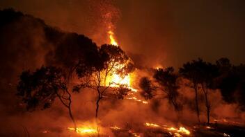 Κομισιόν: Οι μεγαλύτερες δασικές πυρκαγιές που έχουν καταγραφεί ποτέ στην ΕΕ, αυτές στην Ελλάδα