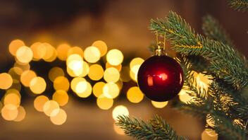 Την Τετάρτη η φωταγώγηση του χριστουγεννιάτικου δέντρου στο Αρκαλοχώρι