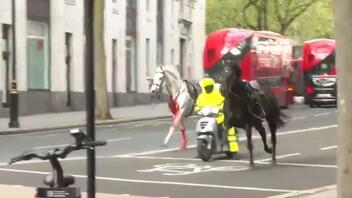 Άλογα κάλπαζαν ελεύθερα στο κέντρο του Λονδίνου!