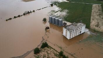 Πλημμύρες στη Θεσσαλία: Μέσα Ιουλίου η καταβολή των αποζημιώσεων στους κτηνοτρόφους