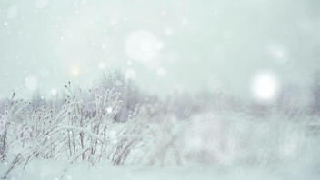 Κακοκαιρία: Απριλιάτικη χιονοθύελλα στη Βασιλίτσα Γρεβενών!