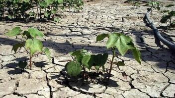 Σήμα κινδύνου για τη λειψυδρία στη Μεσόγειο - Η ξηρασία απειλεί και την Κρήτη