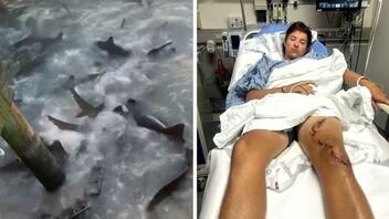 Σε λιμάνι γεμάτο καρχαρίες έπεσε 24χρονος