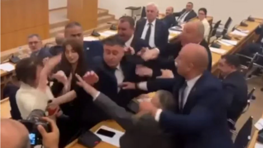 Γεωργία: Σκηνές απείρου κάλλους στο Κοινοβούλιο – Βουλευτίνα πέταξε μπουκάλι στο κεφάλι βουλευτή