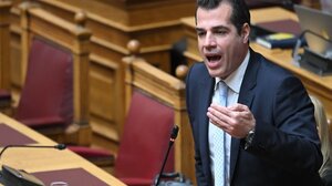 Θ. Πλεύρης: Να μιλήσουμε ανοιχτά για προστασία συνόρων με αποτροπή και όχι μόνο με search and rescue