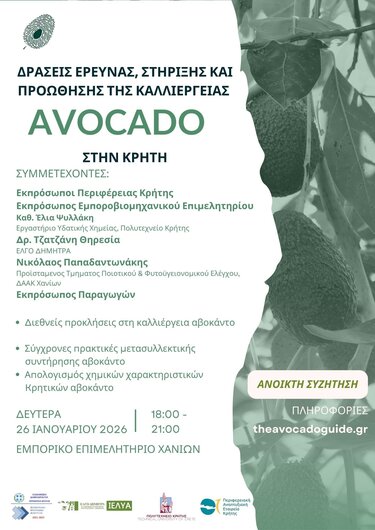Σε νέα ημερομηνία η εκπαιδευτική ημερίδα για την καλλιέργεια αβοκάντο στην Κρήτη