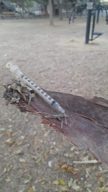 Πάρκο Ευκάλυπτου