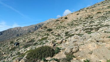 Εκτροπή ΙΧ, Καπετανιανά