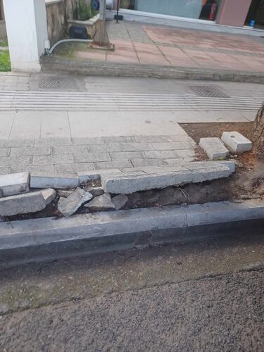 ριζες-δεντρο-πεζοδρομιο