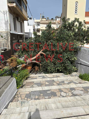 Δέντρο έπεσε στον Κατσαμπά