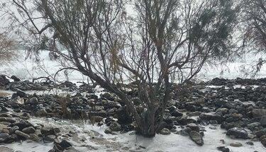 Νότος, Ζημιές, Θάλασσα