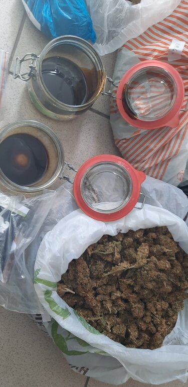 Υδροπονική Καλλιέργεια, Κάνναβη