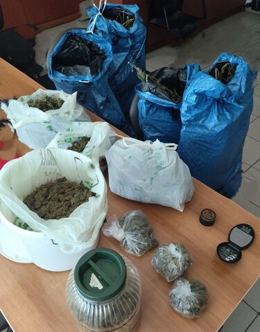 Ναρκωτικά, Κάνναβη, Σύλληψη