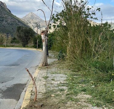 Καθαριότητα, Αμμουδάρα