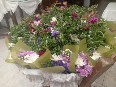 Κυριακή της Σταυροπροσκυνήσεως: Οι ροδαρές… μυρίζουν άνοιξη, στο μέσο της Σαρακοστής!