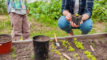 Πληρώνονται τα Οικολογικά Σχήματα - Τι θα γίνει με βασική ενίσχυση κι εκκρεμότητες 