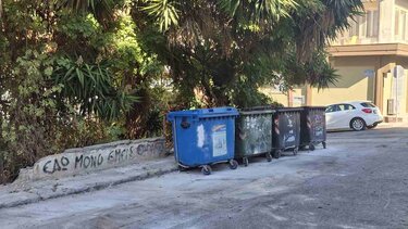 Πατέλες, Καθαριότητα