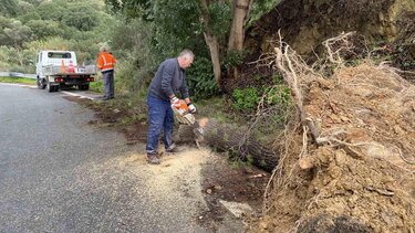 δεντρο-λάστρος-Ανδρουλάκης