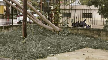 Πτώση δέντρου, Χανιά