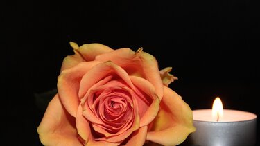 Πένθος, Συλλυπητήρια