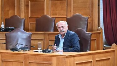 Στρατάκης (Χασάπης) ΟΠΕΚΕΠΕ βουλή