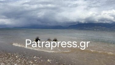 Αίγιο: «Διέλυσε» και πέταξε την καραμπίνα ο δράστης που πυροβόλησε ανήλικους, που βρέθηκε από δύτες ΦΩΤΟ