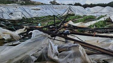 Ανεμοστρόβιλος, Θερμοκήπια, Ζημιές