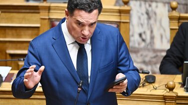 Άδωνις Γεωργιάδης, Βουλή