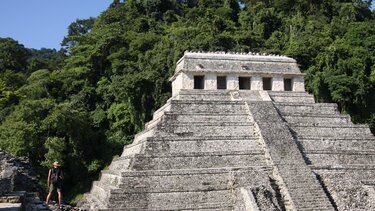 Νέα έρευνα ανατρέπει όλα όσα πιστεύαμε για τους Μάγια: Ο μυστηριώδης πολιτισμός τους, η μεγάλη σφαγή και οι εξωγήινοι