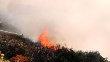 Καίνε κλαδιά και ξερόχορτα… και τα αφήνουν στην τύχη τους!